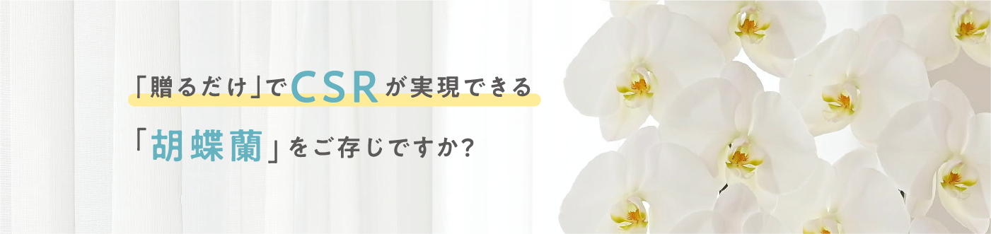 贈るだけでＣＳＲが実現できる胡蝶蘭をご存じですか